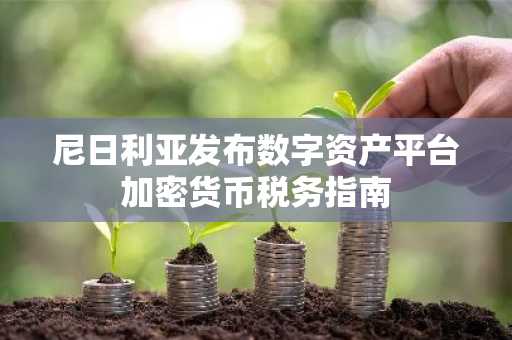 尼日利亚发布数字资产平台加密货币税务指南