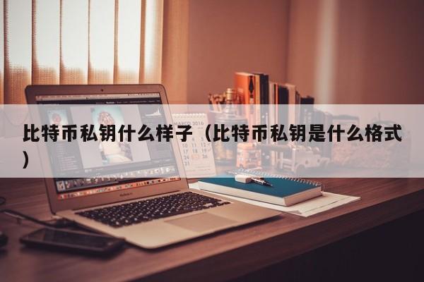 比特币私钥什么样子（比特币私钥是什么格式）