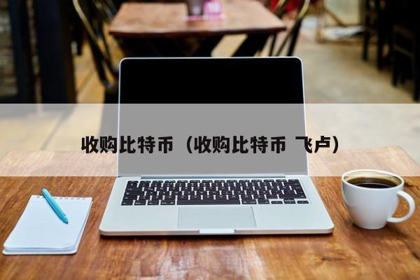 收购比特币(收购比特币 飞卢)
