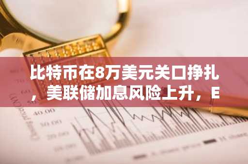比特币在8万美元关口挣扎,美联储加息风险上升,ETF资金流入保持稳定