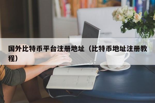 国外比特币平台注册地址（比特币地址注册教程）