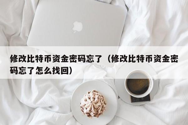 修改比特币资金密码忘了（修改比特币资金密码忘了怎么找回）
