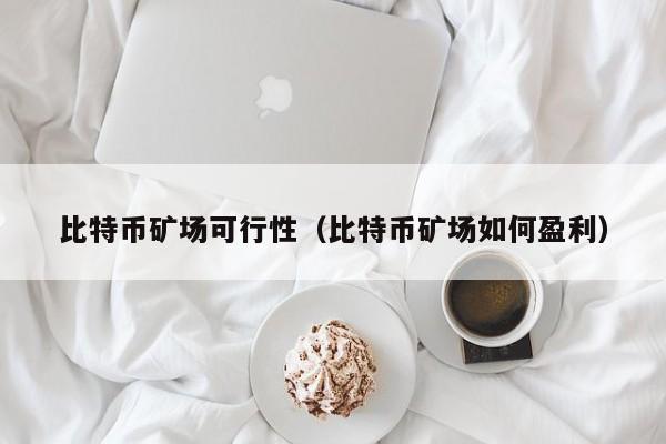 比特币矿场可行性（比特币矿场如何盈利）