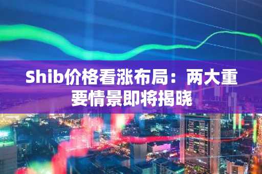Shib价格看涨布局：两大重要情景即将揭晓