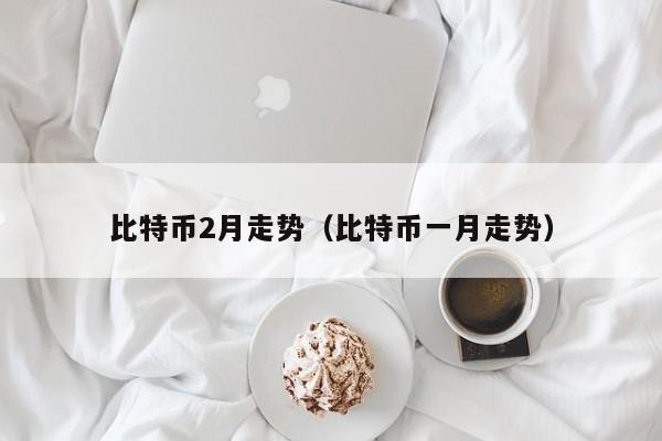 比特币2月走势（比特币一月走势）