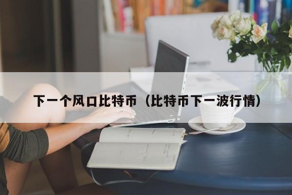 下一个风口比特币(比特币下一波行情)