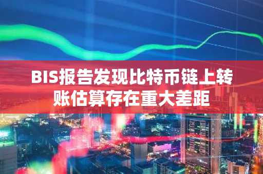 BIS报告发现比特币链上转账估算存在重大差距
