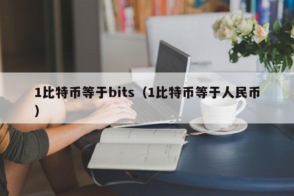 1比特币等于bits(1比特币等于人民币)