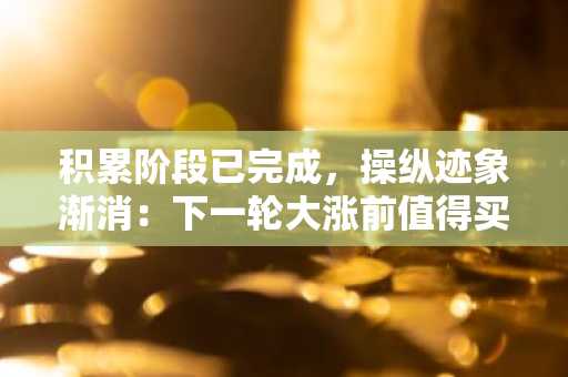 积累阶段已完成，操纵迹象渐消：下一轮大涨前值得买入的5个山寨币