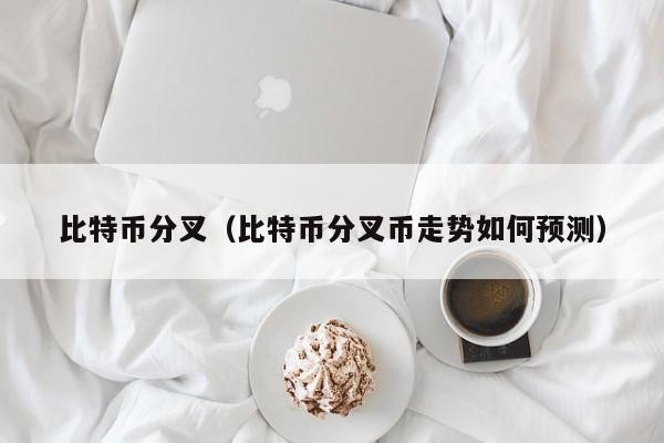 比特币分叉（比特币分叉币走势如何预测）