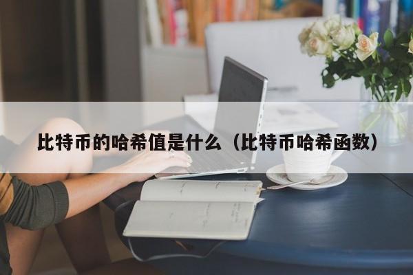 比特币的哈希值是什么（比特币哈希函数）