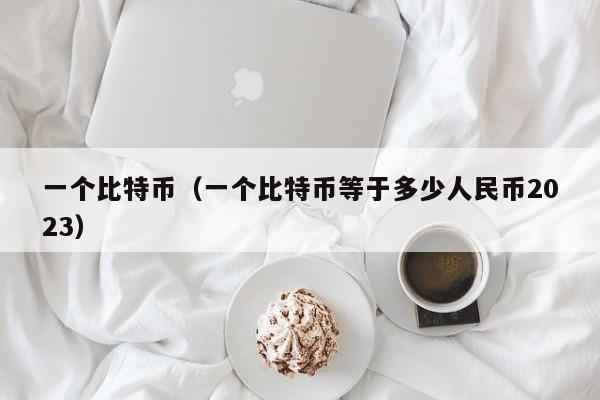 一个比特币（一个比特币等于多少人民币2023）