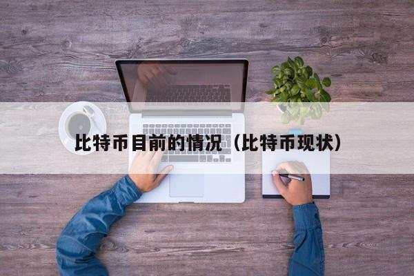 比特币目前的情况（比特币现状）