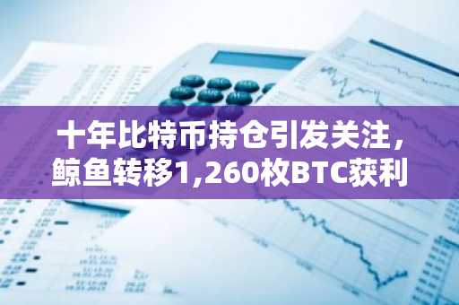 十年比特币持仓引发关注，鲸鱼转移1,260枚BTC获利达12,000%