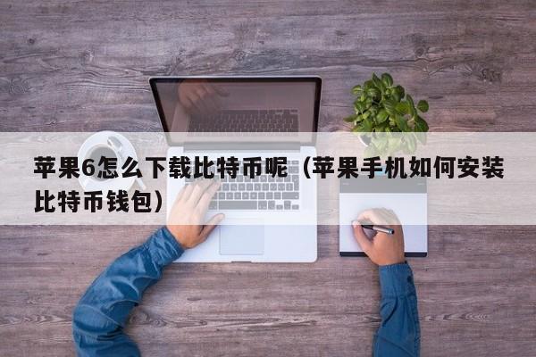 苹果6怎么下载比特币呢（苹果手机如何安装比特币钱包）
