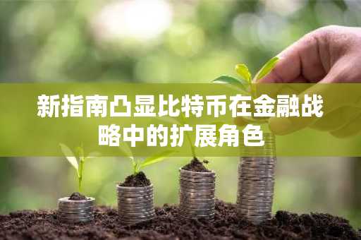 新指南凸显比特币在金融战略中的扩展角色
