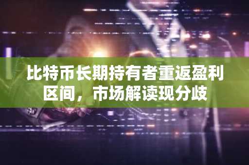 比特币长期持有者重返盈利区间，市场解读现分歧