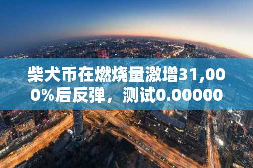 柴犬币在燃烧量激增31,000%后反弹,测试0.000006美元阻力位