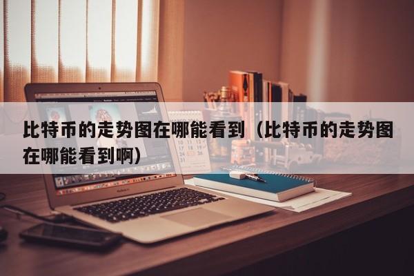 比特币的走势图在哪能看到(比特币的走势图在哪能看到啊)