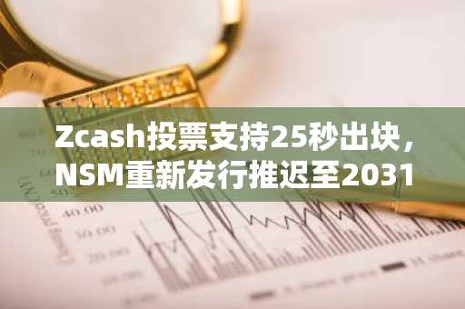 Zcash投票支持25秒出块，NSM重新发行推迟至2031年