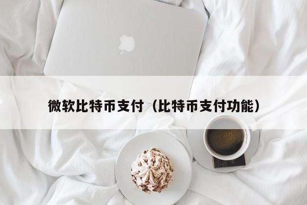 微软比特币支付（比特币支付功能）