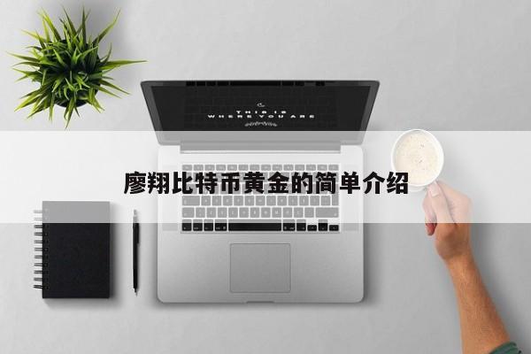 廖翔比特币黄金的简单介绍