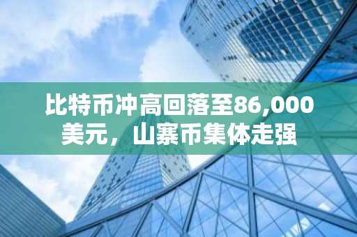 比特币冲高回落至86,000美元，山寨币集体走强