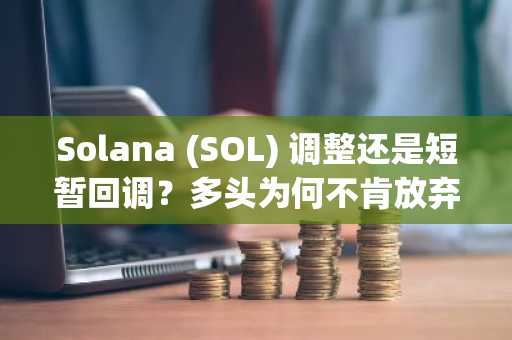 Solana (SOL) 调整还是短暂回调？多头为何不肯放弃