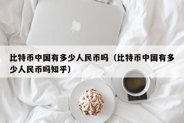 比特币中国有多少人民币吗（比特币中国有多少人民币吗知乎）