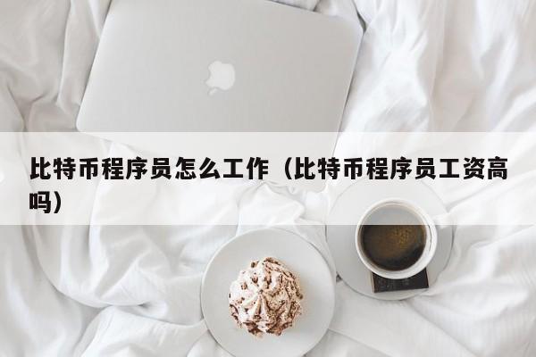比特币程序员怎么工作（比特币程序员工资高吗）