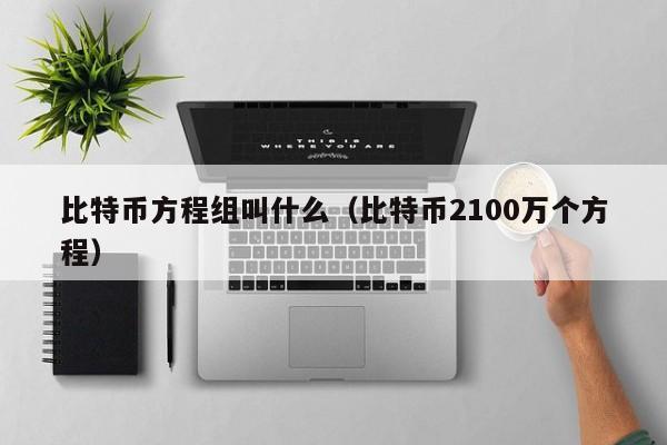 比特币方程组叫什么（比特币2100万个方程）