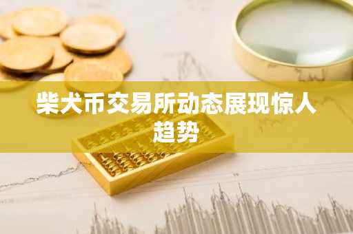 柴犬币交易所动态展现惊人趋势