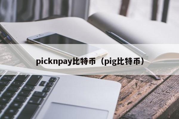 picknpay比特币（pig比特币）
