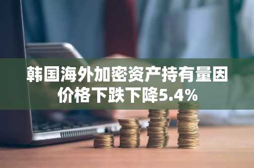 韩国海外加密资产持有量因价格下跌下降5.4%