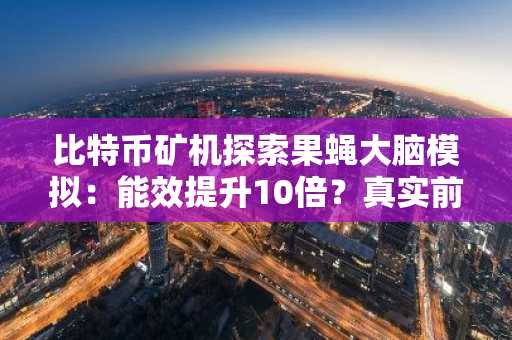 比特币矿机探索果蝇大脑模拟：能效提升10倍？真实前景如何