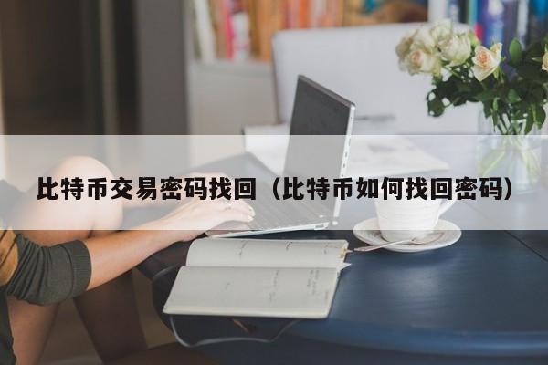比特币交易密码找回（比特币如何找回密码）