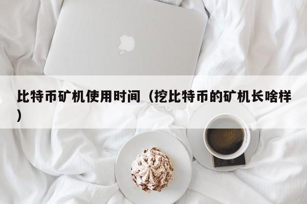 比特币矿机使用时间(挖比特币的矿机长啥样)