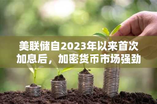 美联储自2023年以来首次加息后，加密货币市场强劲反弹