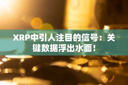 XRP中引人注目的信号：关键数据浮出水面！