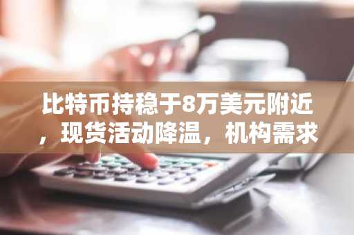 比特币持稳于8万美元附近，现货活动降温，机构需求企稳