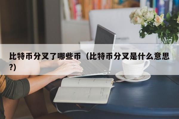 比特币分叉了哪些币（比特币分叉是什么意思?）
