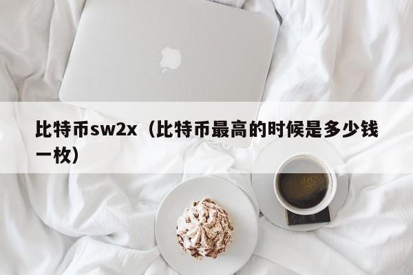 比特币sw2x(比特币最高的时候是多少钱一枚)