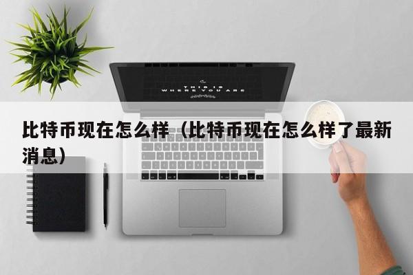 比特币现在怎么样（比特币现在怎么样了最新消息）