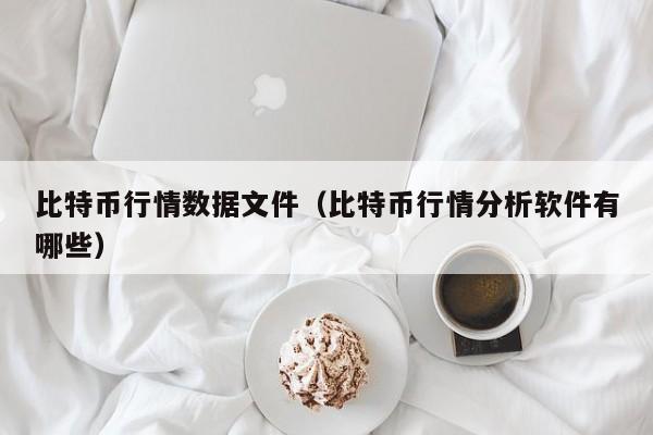 比特币行情数据文件（比特币行情分析软件有哪些）