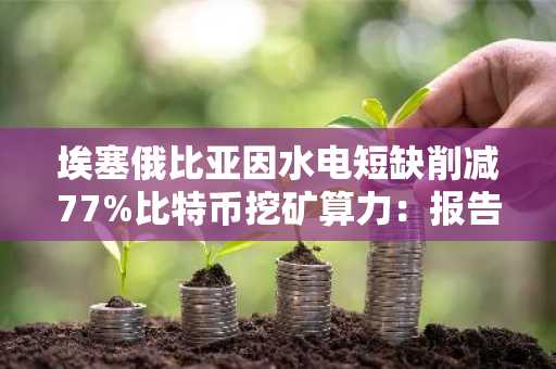 埃塞俄比亚因水电短缺削减77%比特币挖矿算力：报告