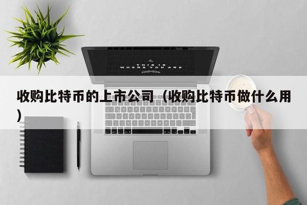 收购比特币的上市公司（收购比特币做什么用）