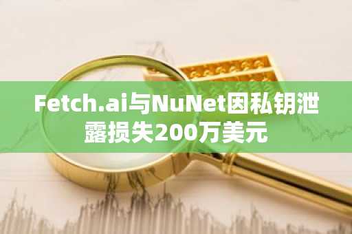 Fetch.ai与NuNet因私钥泄露损失200万美元
