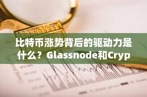 比特币涨势背后的驱动力是什么？Glassnode和CryptoQuant的首席执行官为你揭秘！