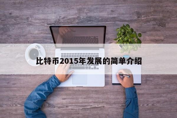 比特币2015年发展的简单介绍
