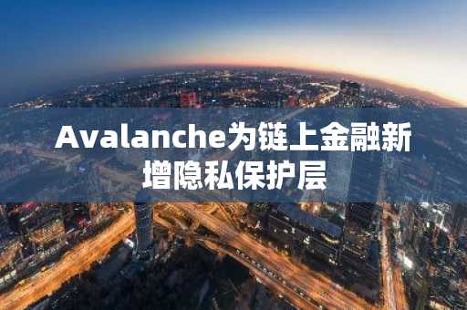 Avalanche为链上金融新增隐私保护层